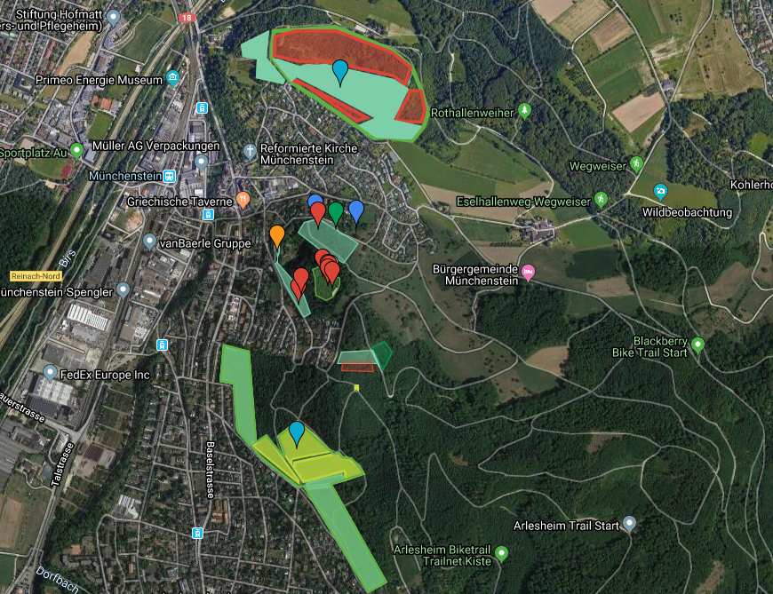 Teilprojekt 2 – Neophyten im Forstrevier Arlesheim / Münchenstein