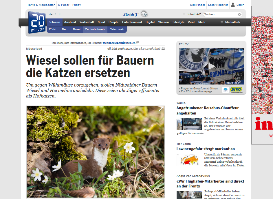 Artikel im 20 Minuten