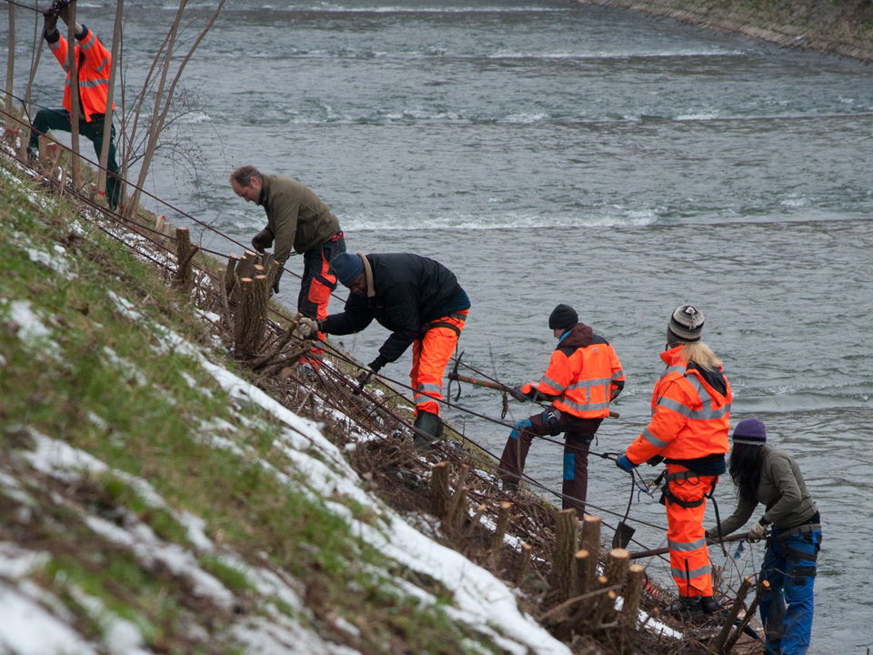 Naturschutzeinsätze in der Region Basel
