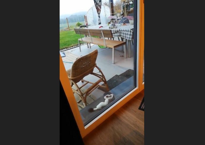 Video Einsendung