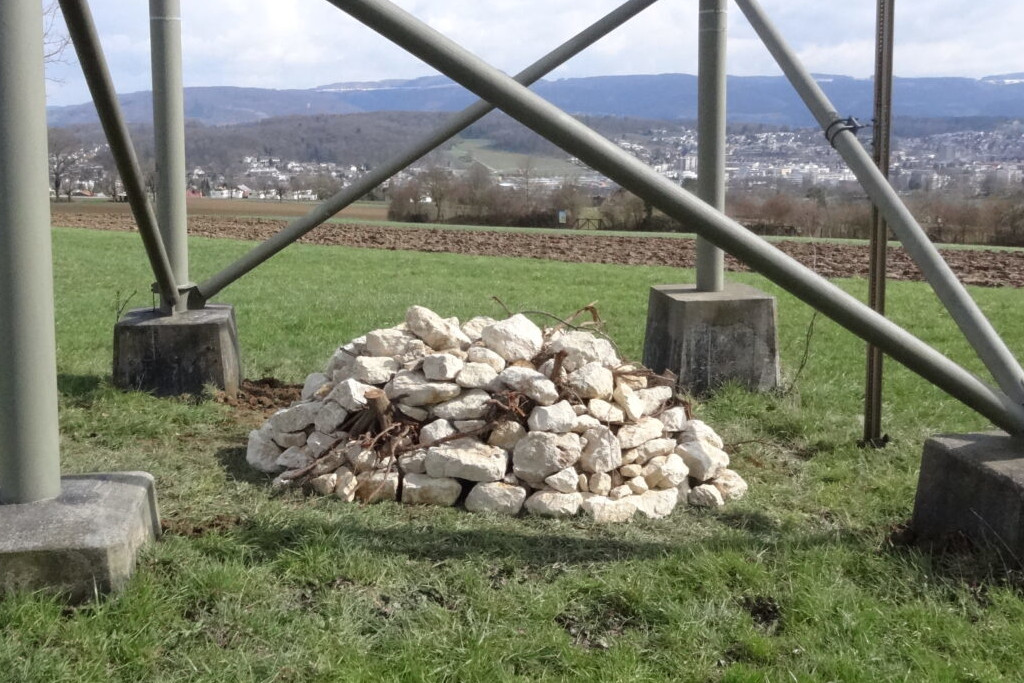 Steinlinse beim Strommast 114 in Oberwil